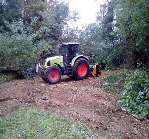 Sečnja
