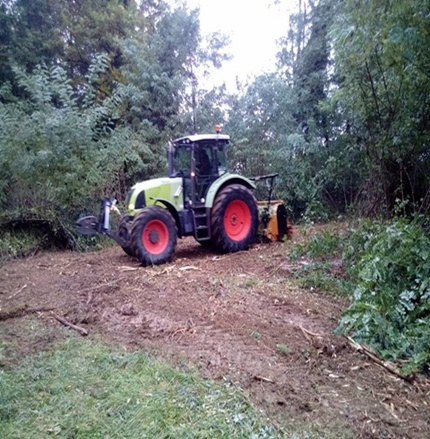 mulčanje