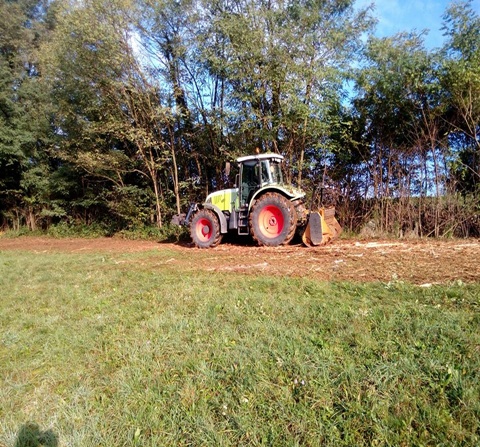 Silaža