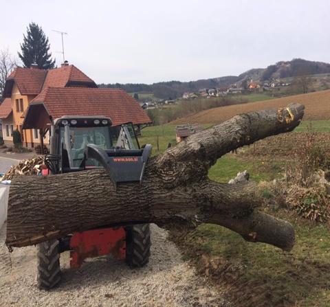 Dostava drv